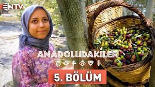 Anadoludakiler 5. Bölüm | Güney Marmara | NTV