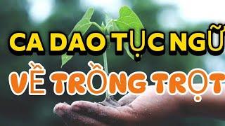 Những câu ca dao tục ngữ nói về TRỒNG TRỌT|| Ca dao tục ngữ Việt Nam