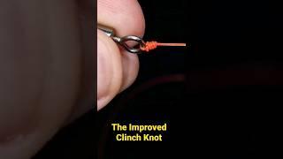 The Improved Clinch Knot For Fishing