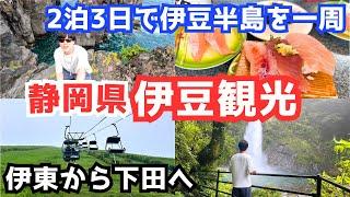 【伊豆旅行vlog】伊豆半島を一周する旅！伊豆観光が楽しすぎる