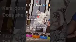 Hell Naw Dog meme