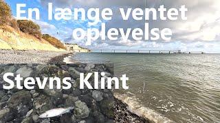 En længe ventet oplevelse