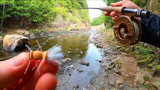 Summer Fly Fishing With HOPPERS | Adirondack Brown Trout