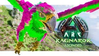 Let's go Exploring with our Imprinted Griffins!