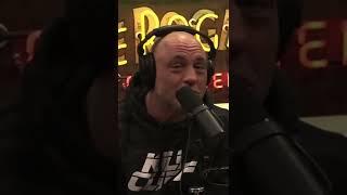 Joe on Logan Paul & Jake Paul | Sean O’Malley - The Joe Rogan Experience MMA Show #133 | #podcast