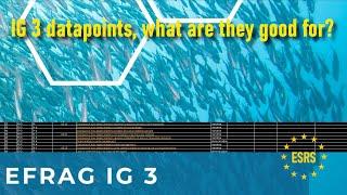 ESRS: IG-3 Datapoints what are they and how can we (not) use them?