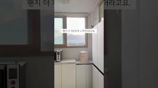 비 그치고 햇빛 나면 꼭 하는 살림 #살림