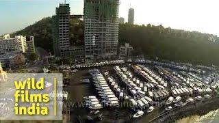 Moored yachts and boats at Pattaya beach : aerial footage