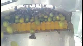 Fruit Washing，brush type fruit cleaning machine