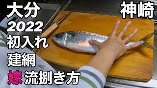 [漁師]建網初入れ.鯖のリュウキュウ