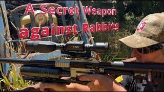 We're Shooting RABBITS, RABBITS & more Rabbits, at the Mountain Rabbit Farm...Plus a secret weapon!