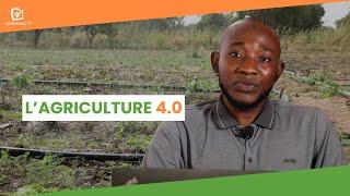 Mali : L'Agriculture 4.0