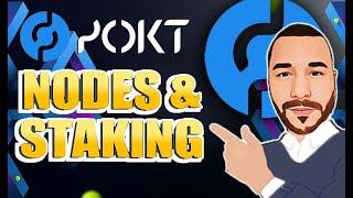 Poket Network! - POKT Nodes + POKT Staking! - Can POKT 100X?