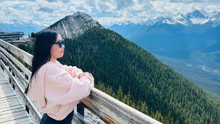 Banff Gondola Experience|Top of Sulphur Mountain|Gondola Ride|Sulphur Mountain Boardwalk