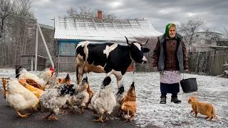 Living Among the Trees: The Last Residents of a Forgotten Village