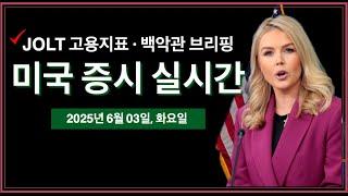 (2025년 6월 4일, 수) 일론머스크, "참을 수 없다" | 백악관 언론브리핑 | JOLT 고용지표 | 실적발표: HPE, CRWD | 미국 주식, 비트코인 속보
