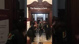 The Egyptian Director is here - Dany Gamal