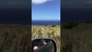 Aloha oe, Big Island Hawaii. Dr.Russ Yusupoff & Igor Kocharov. Cruising around Island.