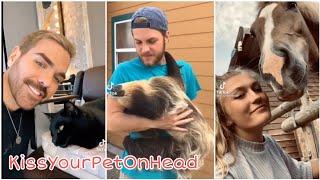 Kiss your pet on the head and see their reaction