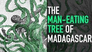 The Man-Eating Tree of Madagascar