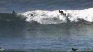 RVCABLOG SANTA CRUZ