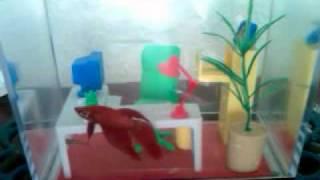 Office Fish Tank