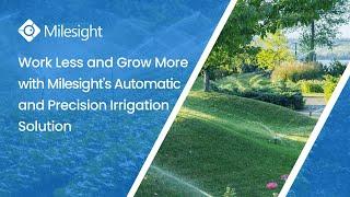 Work Less and Grow More with Milesight Automatic & Precision Irrigation Solution