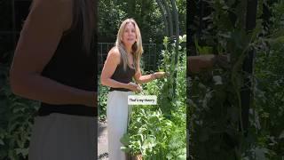 The Garden Industry is stealing your money: Here’s how…#garden #plants #fertilizer