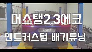 [Person_펄슨] 머스탱2 3에코 앤드커스텀배기튜닝