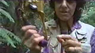 DragonflyTV snippet