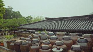 Soothing Rain sound | Raindrops falling into a traditional Korean pottery jar