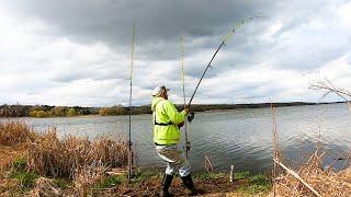 CATFISHING with CUT Bluegill (Bank fishing)