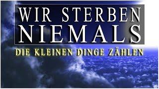 TOD DURCH BLITZ; ZUKÜNFTIGE EREIGNISSE; RÜCKKEHR NEUES LEBEN  NAHTODERFAHRUNGEN