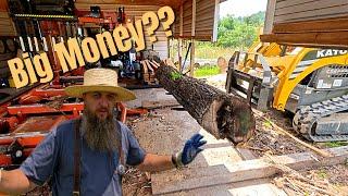 The Truth About Selling Yard Trees To Sawmills