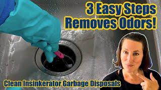 How To Clean Insinkerator Garbage Disposals (Get Rid Of Garbage Disposal Smells Too)