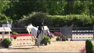 shownetllc   Video of ZEBRINA TN ridden by CHRIS KAPPLER from ShowNet