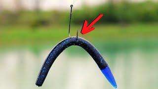 WACKY RIG Tricks That Catch BIG BASS