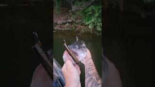 Spotted Bass are Explosive Fishing Lake Lanier