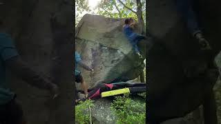 Scary Gene Pool - V8. Lynn Woods