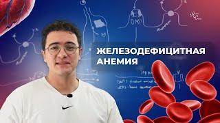 Железодефицитная анемия. От общего анализа крови до лечения