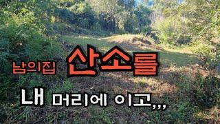 남의집 산소를 내 머리에 이고 살 자신이 읎어서...  - countryside life