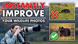 5 Tips to Make your Wildlife Photography INSTANTLY Better