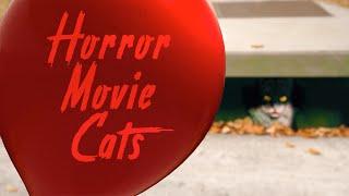 Horror Movie Cats | A Catmare On Elm Street