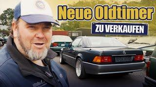 Neue Oldtimer bei den Petrolheads zu verkaufen