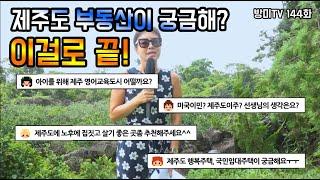 제주도 부동산이 궁금해? 이걸로 끝! [방미의 부동산팩트]