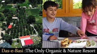 Ic Organic Aure Nature Resort Ke Cherries Ki Baat Hi Alag Hy | Best Destination For Families |