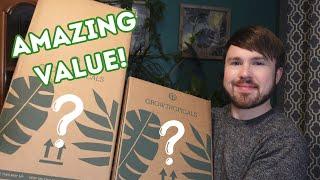 Mystery Rescue Plant Unboxing - Super Savings! (11 Plants)