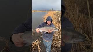 Fly Fishing Made Easy
