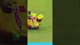 super catch caught by Romario shepherd  in SA T20 LEAGUE