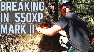 Breaking in Husqvarna 550xp Mark 2 - Cutting Down Oak Tree in the Woods + Skidding Logs with Truck